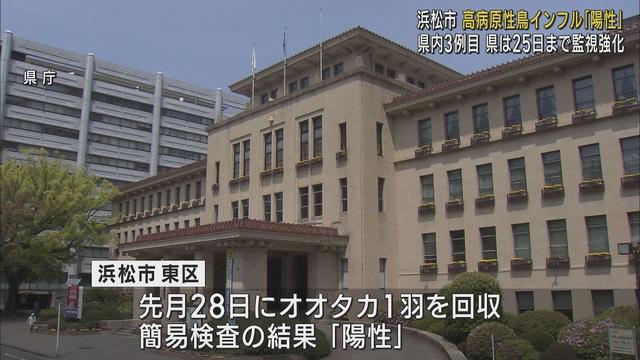画像: 静岡県内3例目高病原性鳥インフルエンザ「陽性」 浜松市で回収されたオオタカ 浜松市の一部などを「野鳥監視重点区域」に指定 youtu.be