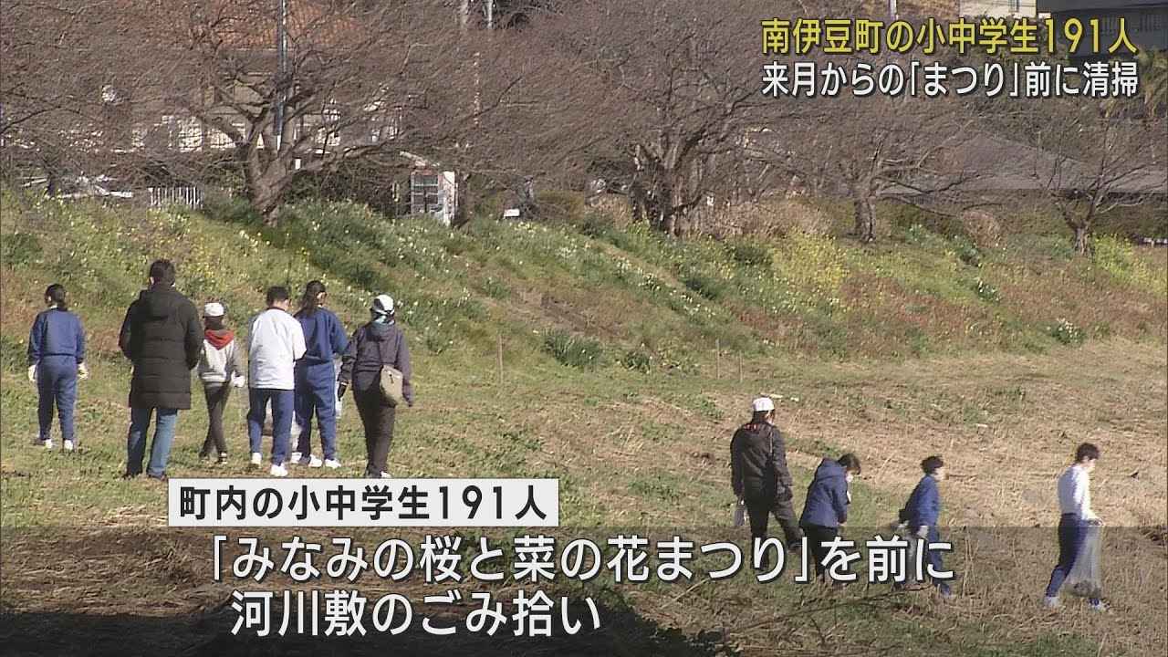 画像: 「みなみの桜と菜の花まつり」を前に小中学生が河川敷のごみ拾い 県内外からの観光客を迎えるために 静岡・南伊豆町 youtu.be