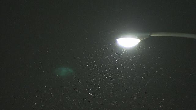 画像: 【速報】静岡市で「初雪」観測…平年より18日、去年より24日遅く 25日朝は「氷点下」の地域も youtu.be