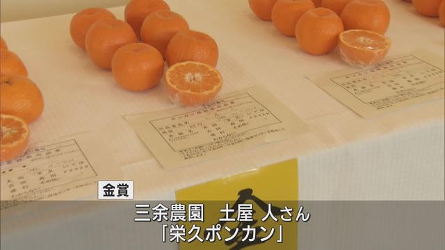 画像: ポンカン品評会 曽祖父が栽培を始めた品種で金賞を受賞 静岡・松崎町 youtu.be