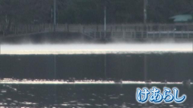 画像: 26日も静岡県内冷え込む 静岡市駿河区でマイナス4℃観測 youtu.be