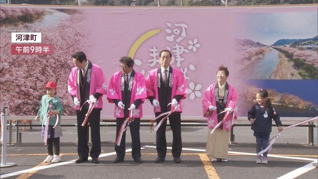 画像: 河津桜まつり始まる　河津川沿いに850本のサクラ並木 youtu.be