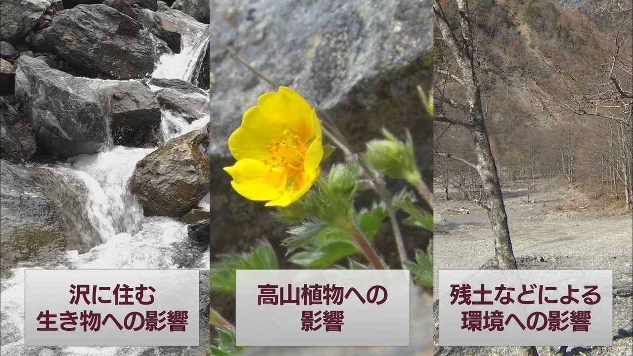 画像1: 国の有識者会議…大きなテーマは３つ