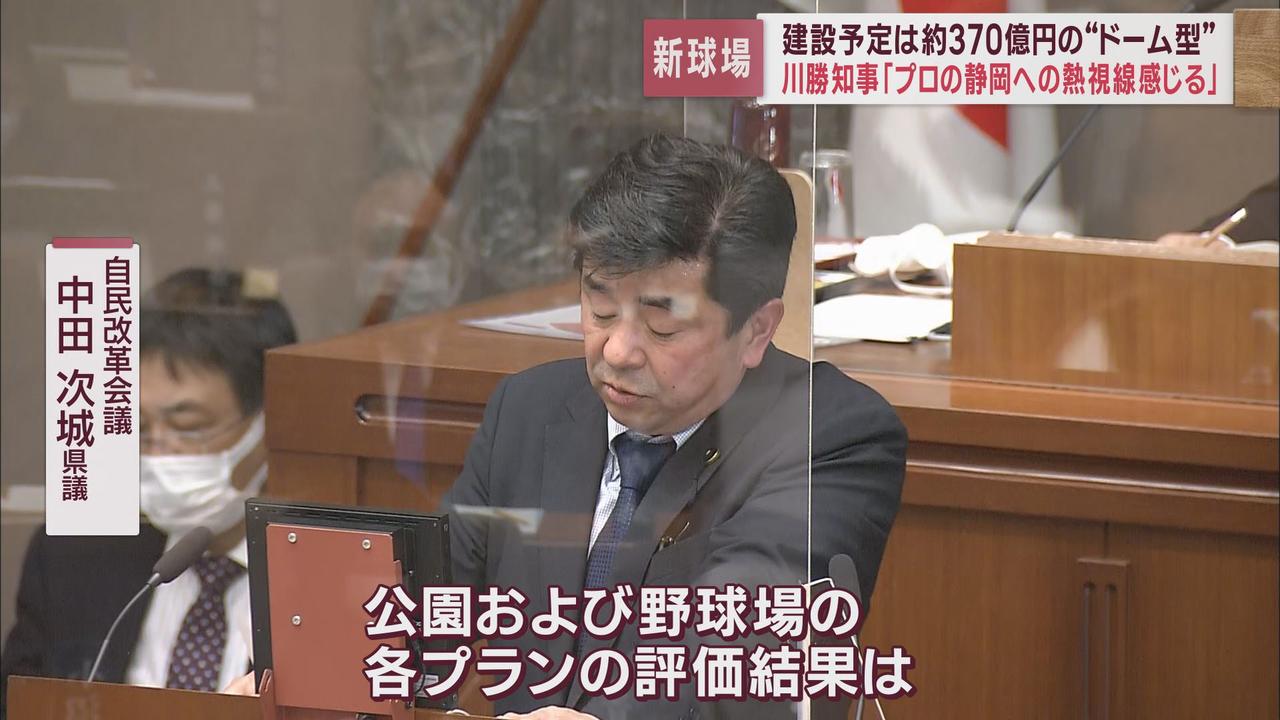 画像: 新野球場のタイプは?