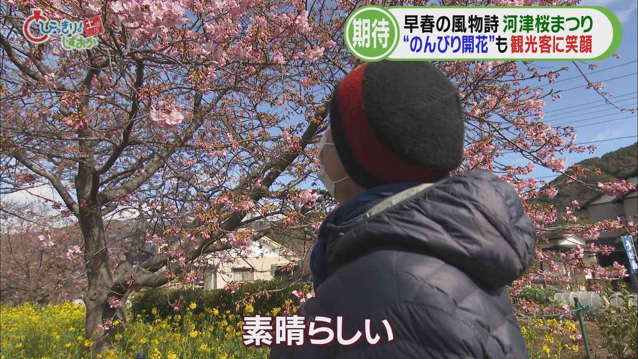 画像: 3年ぶりに日本に…スイス人男性「素晴らしい」