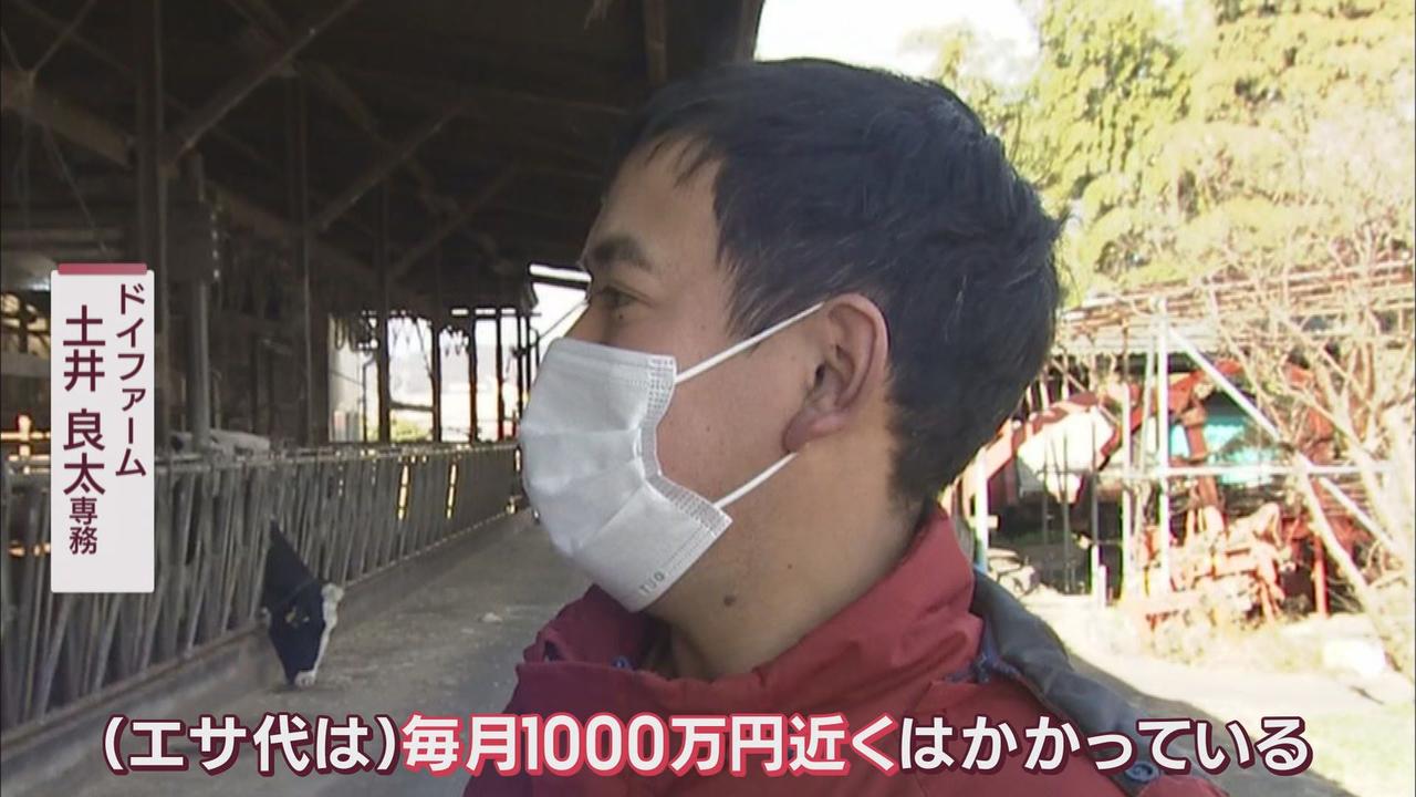 画像2: さく乳牛80頭で餌代は月に1000万円