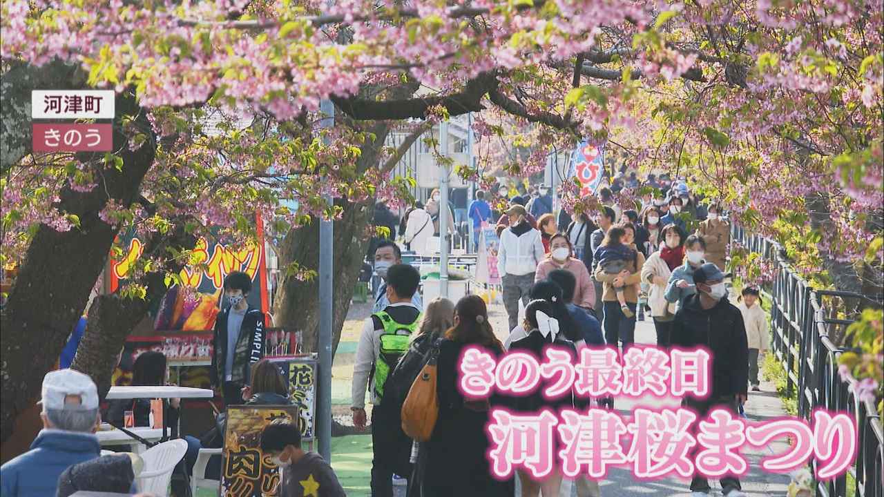 画像: 3年ぶり通常開催「河津桜まつり」最終日は…地元「にぎわい戻ってきた」 ただ「外国人は『もうちょっと』 静岡・河津町