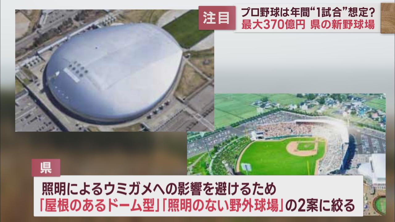画像2: 「屋根のあるドーム型」か「照明のない野外球場」か