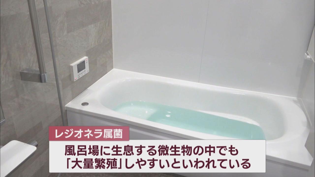 画像: 家庭の風呂場で大量繁殖も