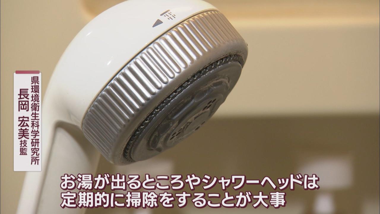 画像: 「シャワーヘッドは定期的に掃除を」