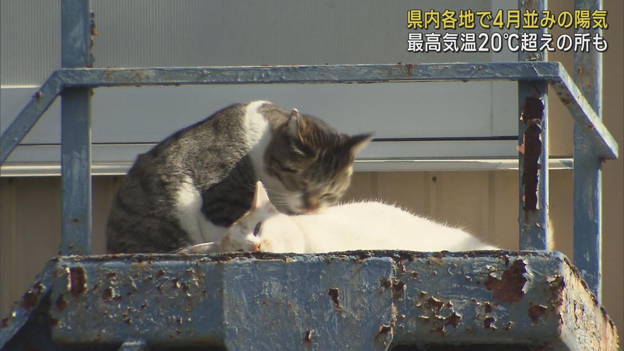 画像: 11日の静岡県内は広い範囲で晴れ 各地で4月並みの陽気に