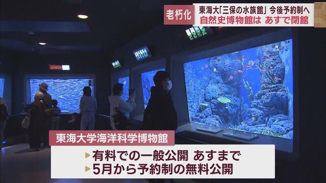 画像: 東海大学海洋科学博物館31日が有料公開最終日 1970年の開館以来延べ1900万人が訪れた「三保の水族館」 静岡市清水区 youtu.be