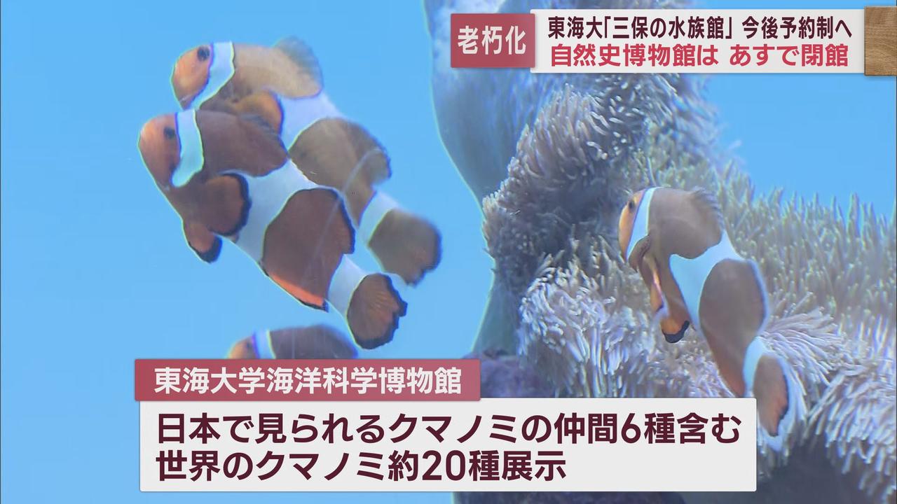 画像3: 東海大学海洋科学博物館31日が有料公開最終日 1970年の開館以来延べ1900万人が訪れた「三保の水族館」 静岡市清水区