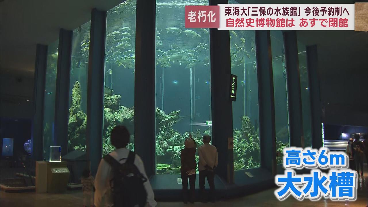 画像2: 東海大学海洋科学博物館31日が有料公開最終日 1970年の開館以来延べ1900万人が訪れた「三保の水族館」 静岡市清水区