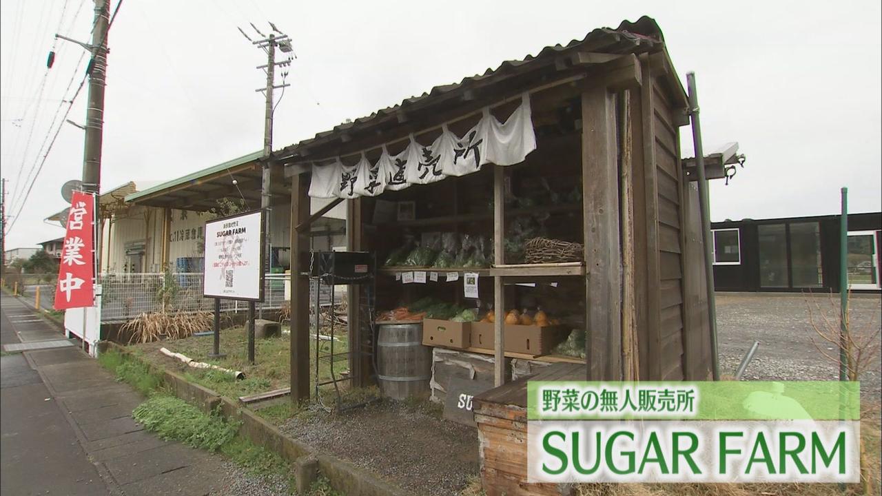 画像1: 全部100円…「B級品の野菜」の無人販売所