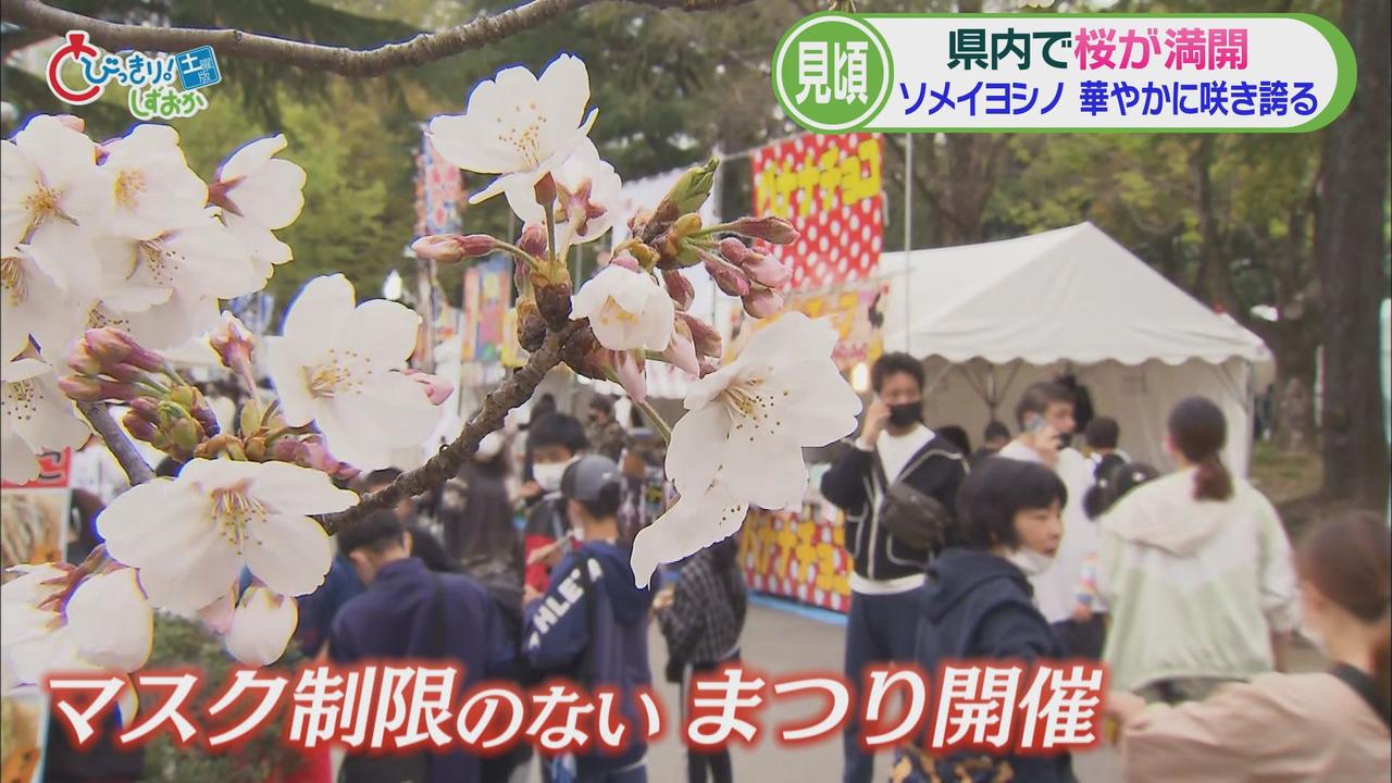 画像2: 「静岡まつり」4年ぶりマスク制限なしで開催 静岡市の春の一大イベントで例年50万人以上が来場