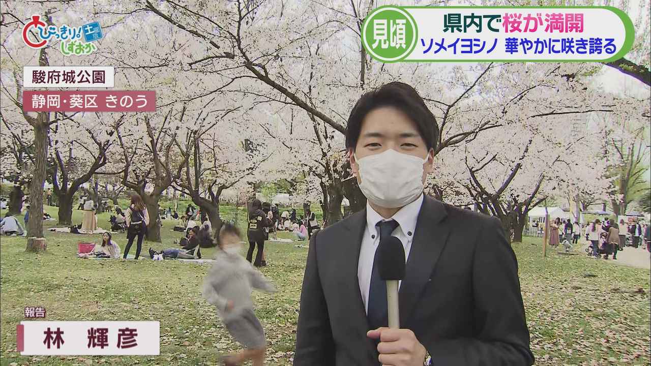 画像1: 「静岡まつり」4年ぶりマスク制限なしで開催 静岡市の春の一大イベントで例年50万人以上が来場