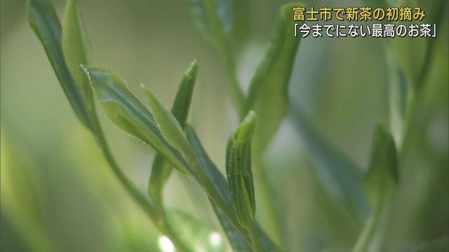 画像: 新茶の初摘み「今までにない最高のものが。新しいお茶の世界を」 静岡・富士市 youtu.be