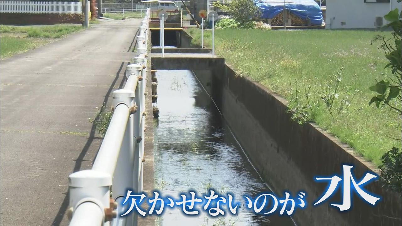 画像: コメ農家にとって欠かせない「水」