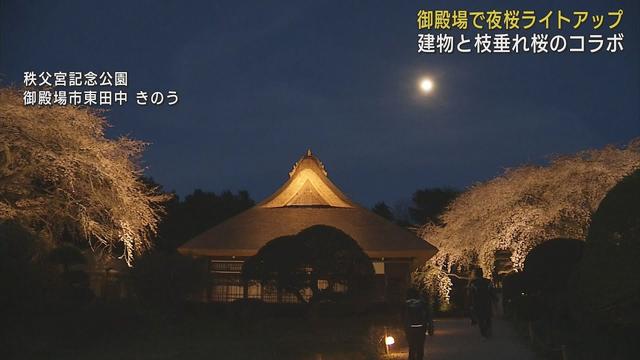 画像: 秩父宮記念公園「夜桜ライトアップ」茅葺き屋根の建物と樹齢130年の枝垂れ桜との幻想的なコラボレーション youtu.be