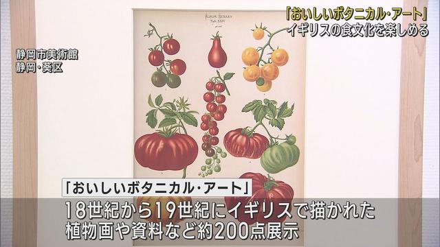 画像: 植物画からイギリスの食文化の歴史を楽しむ 「おいしいボタニカル・アート」展 静岡市美術館 youtu.be