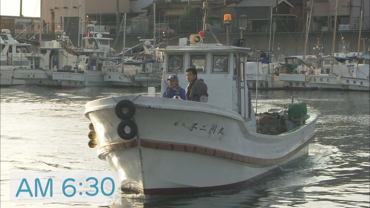 画像: 漁師も「今年はいいんじゃない」