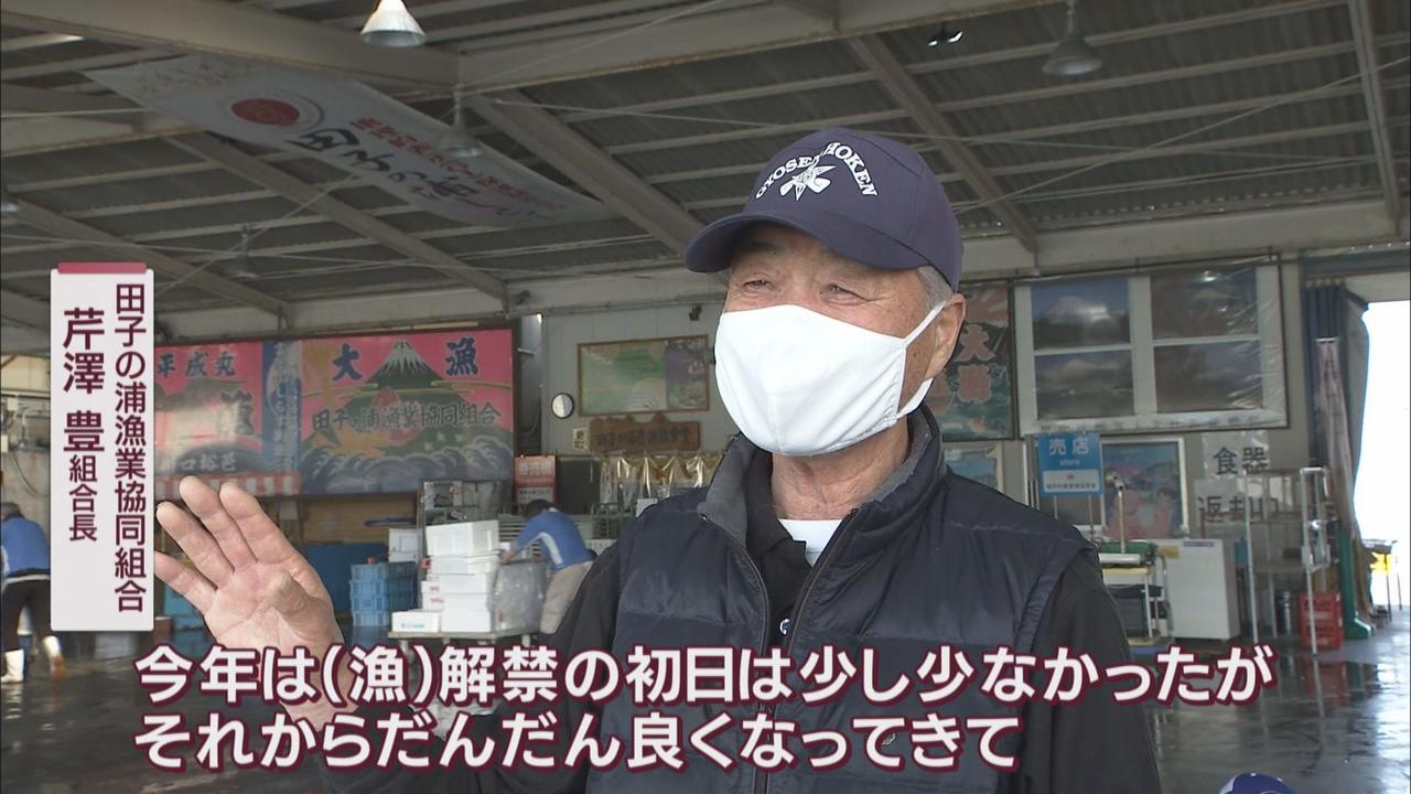 画像2: 漁協「去年に比べて３倍から４倍ぐらいとれてる」