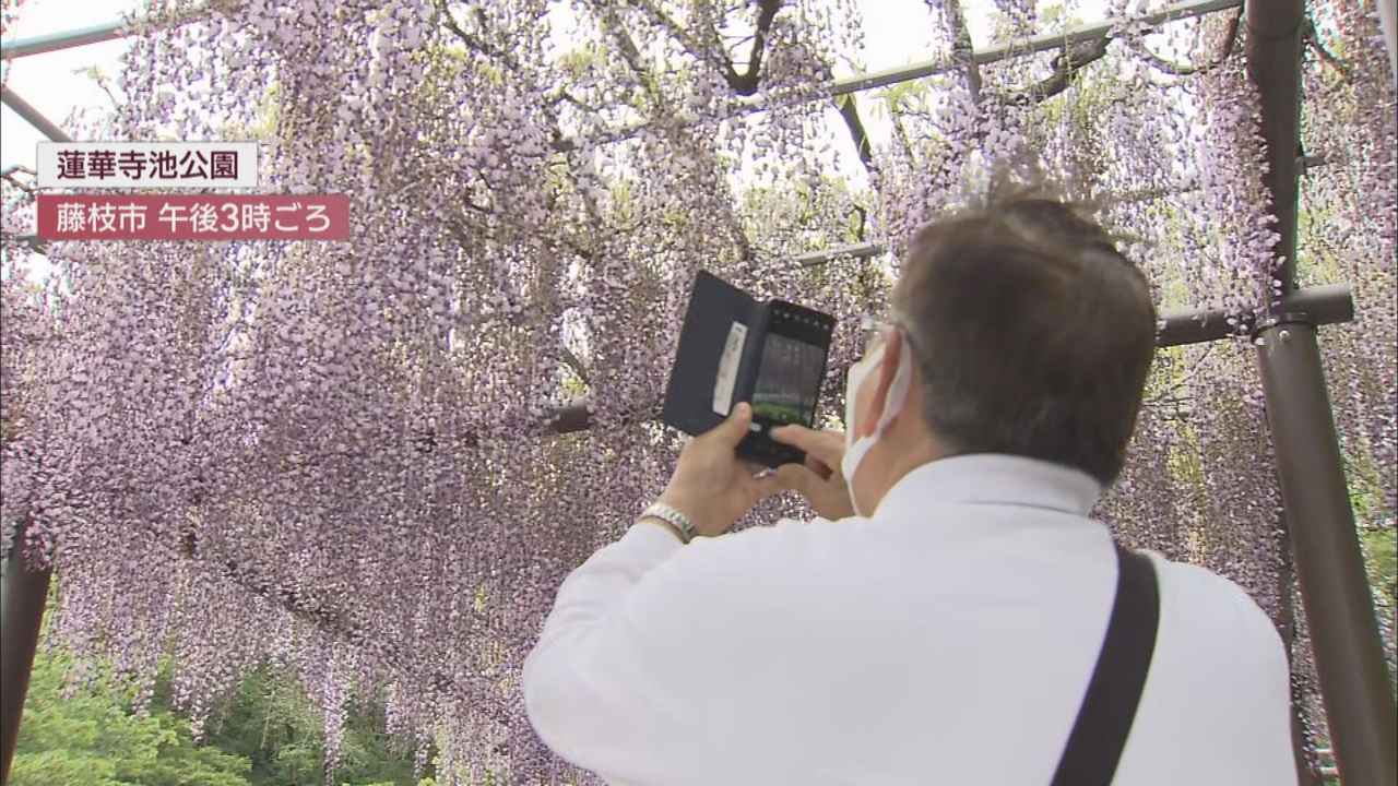 画像: 藤枝市 蓮華寺池公園