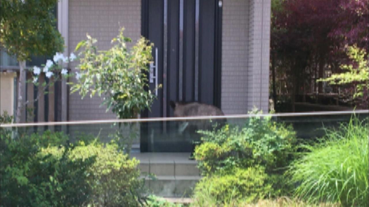 画像3: 目撃者「玄関の前でウロチョロしちゃってて」