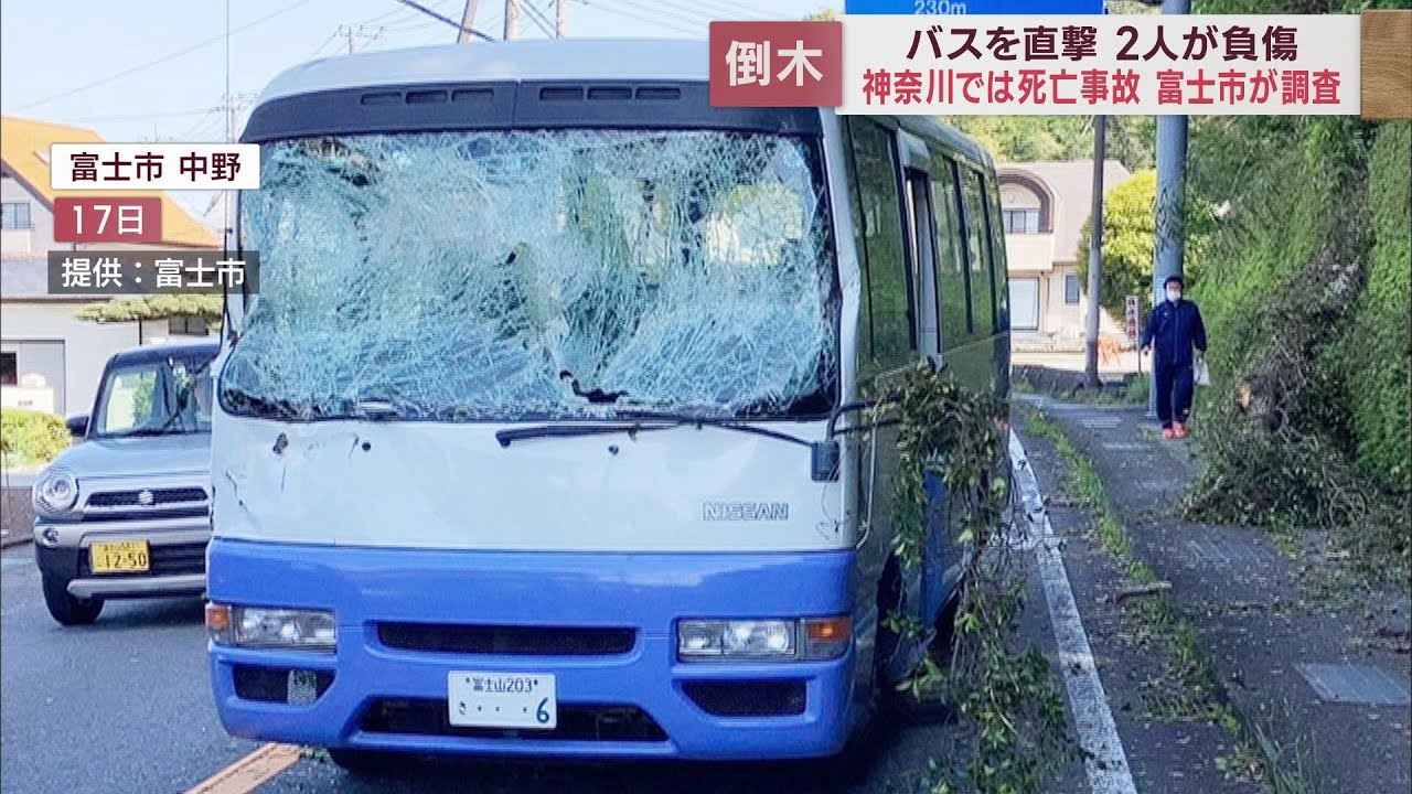 画像: 倒木によるバス事故が発生 公園などで倒木から身を守る方法は? 静岡・富士市 youtu.be