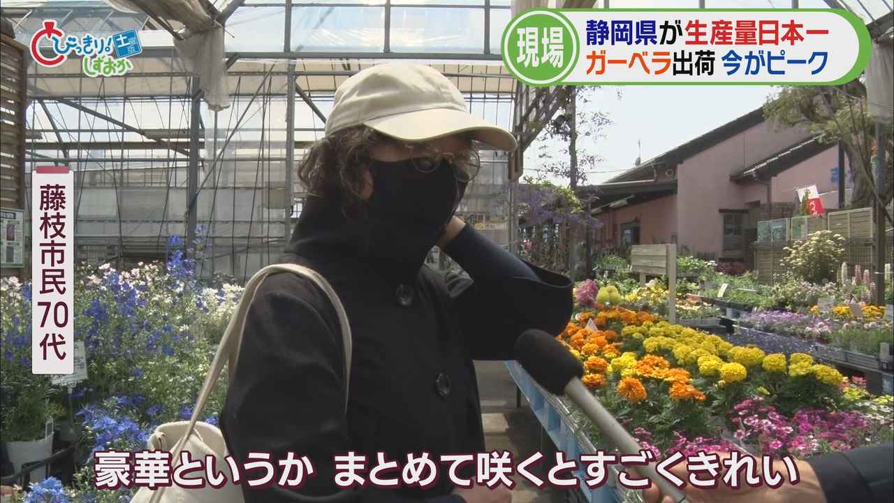 画像3: 藤枝市の園芸店へ