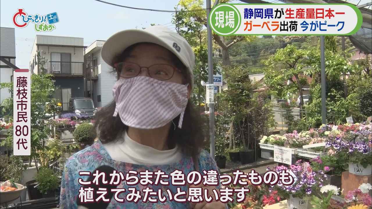 画像4: 藤枝市の園芸店へ