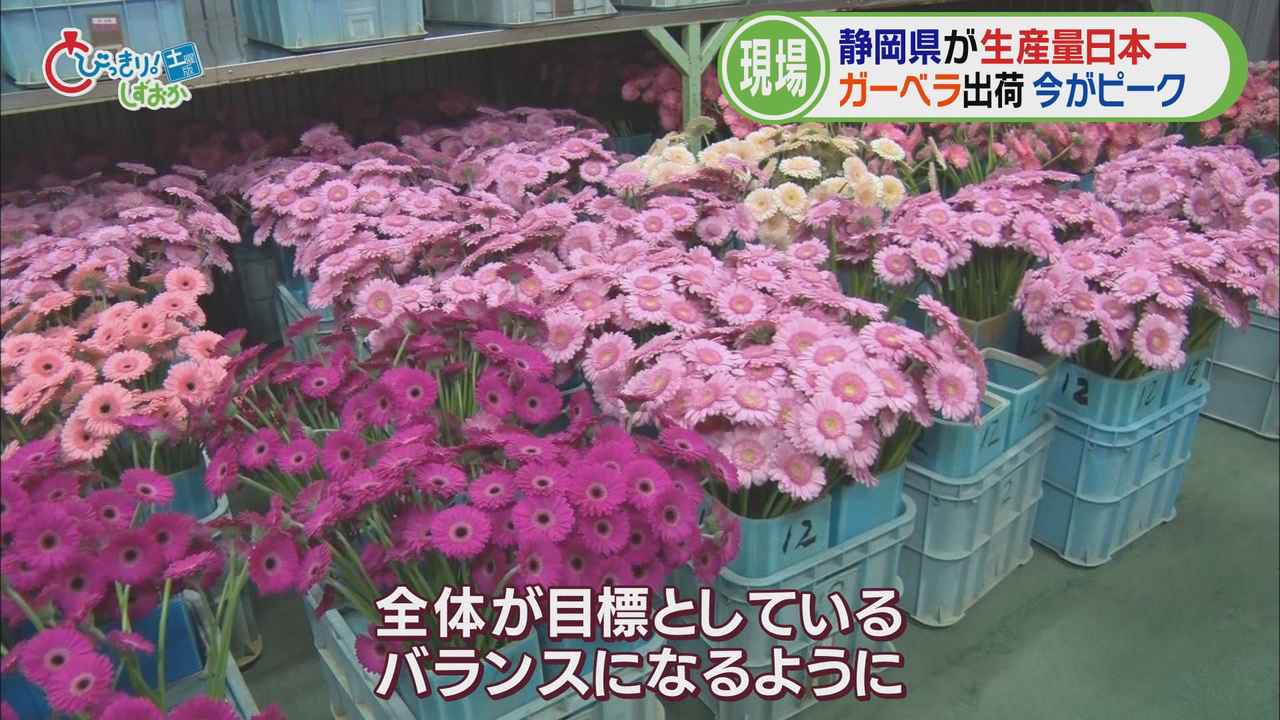 画像4: パッキングセンターへ