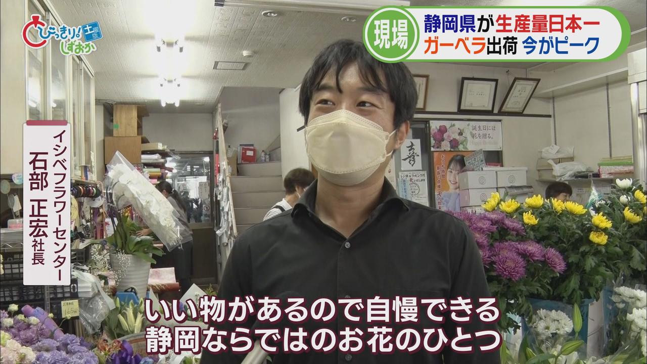 画像2: 静岡県が生産量日本一の「ガーベラ」出荷の最盛期を迎える今その魅力を探る