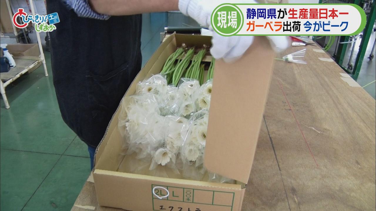 画像5: パッキングセンターへ
