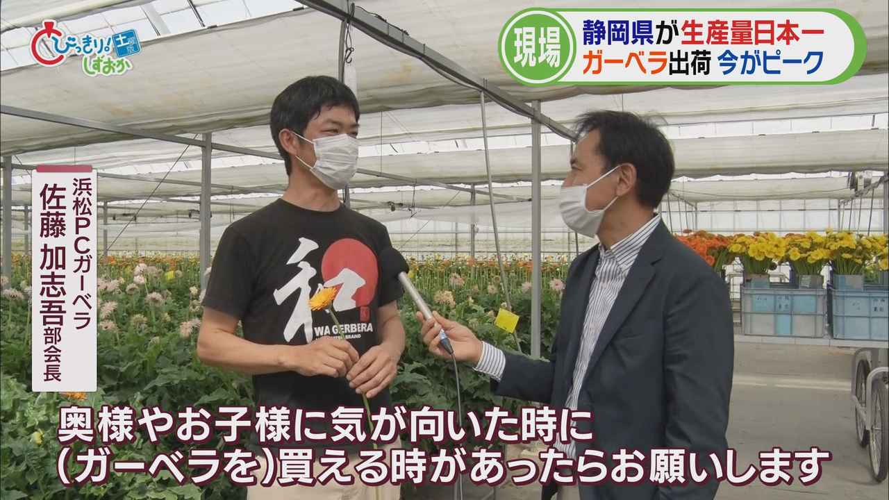 画像6: パッキングセンターへ