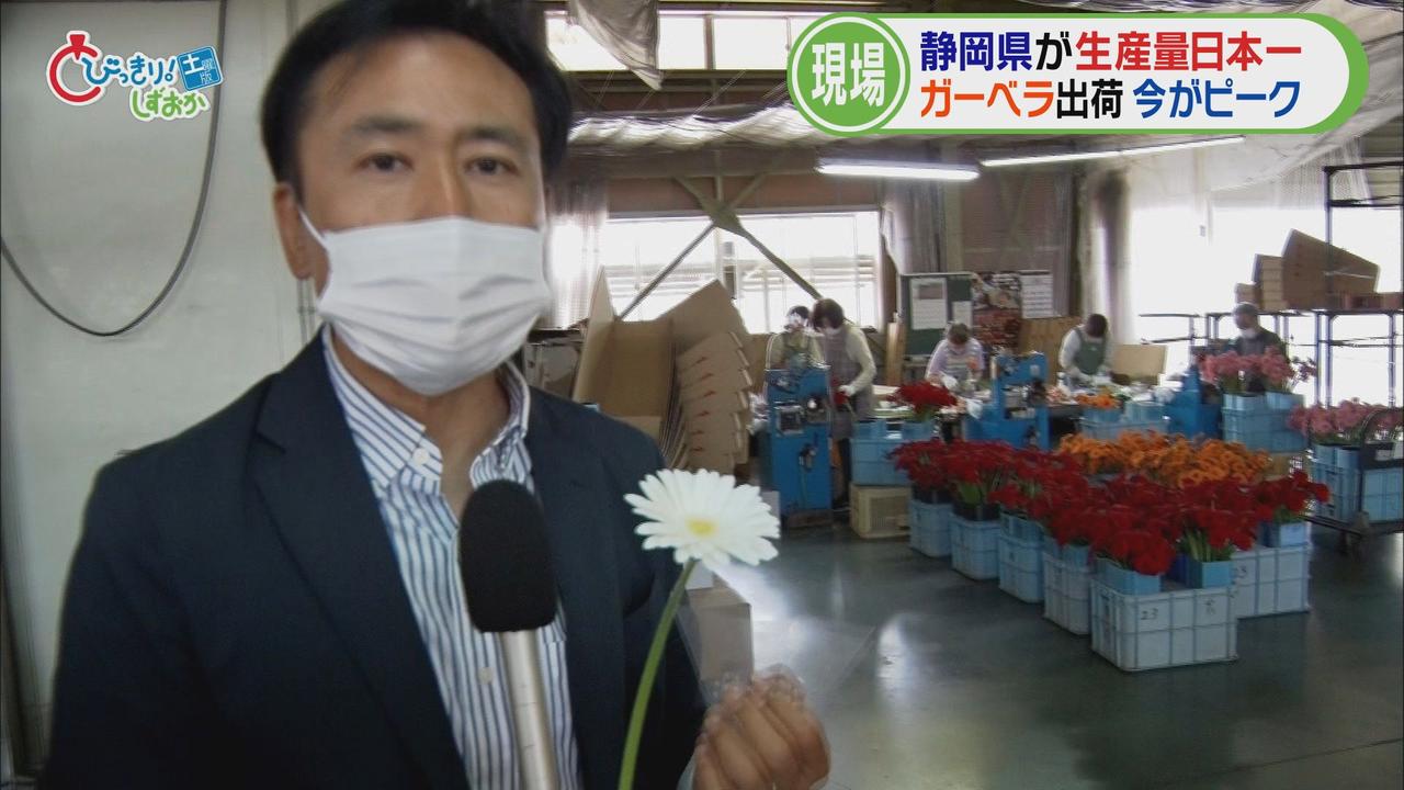 画像2: パッキングセンターへ