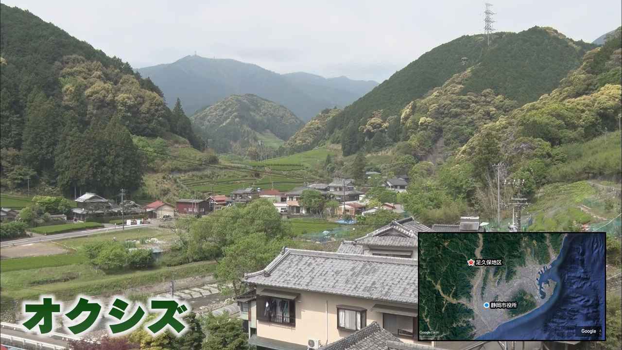 画像2: 卓球Tリーグに参戦「静岡ジェード」…拠点は山間部の「元小学校」 その戦略は? 静岡市