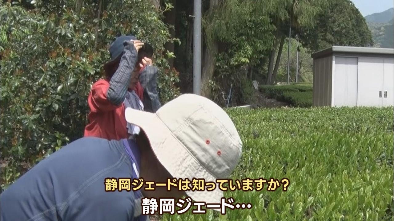 画像: 地元の住民「こんな山に人が来るのかな?」