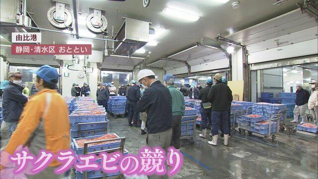 画像: 漁協直営店…開店直後には2時間待ち サクラエビ豊漁でにぎわう由比港 静岡市清水区