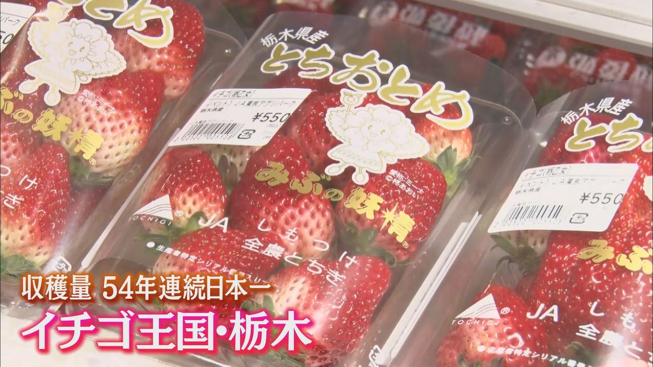 画像: 栃木県