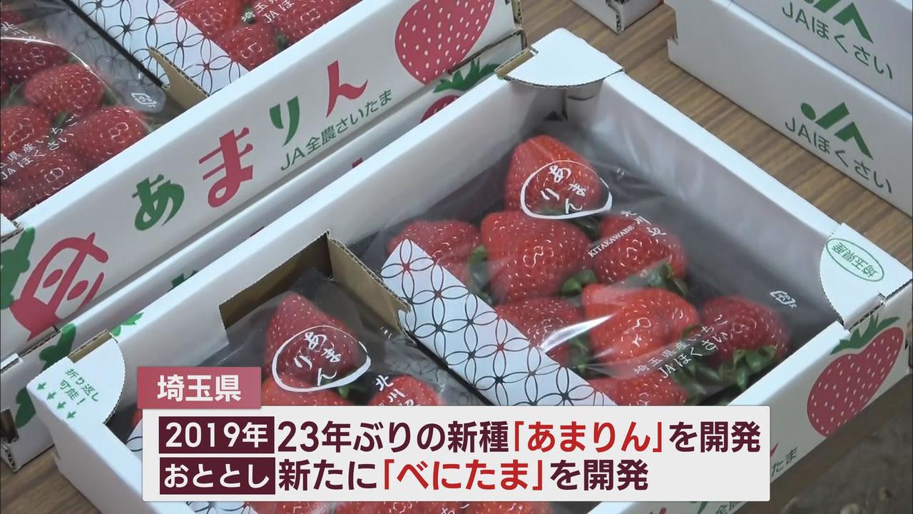 画像: 埼玉県