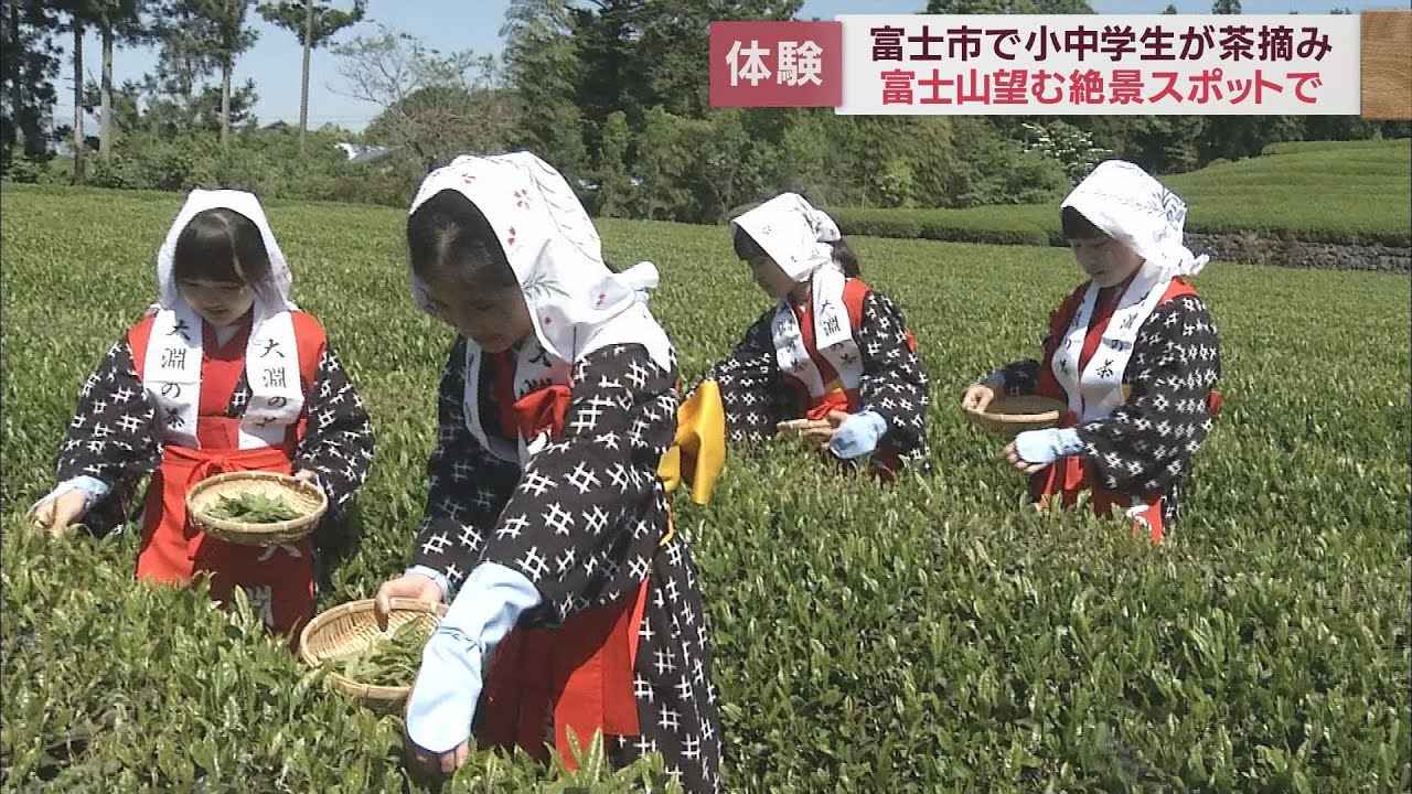 画像: 富士山の麓で茶娘衣装をまとい茶摘みを体験 静岡・富士市 youtu.be