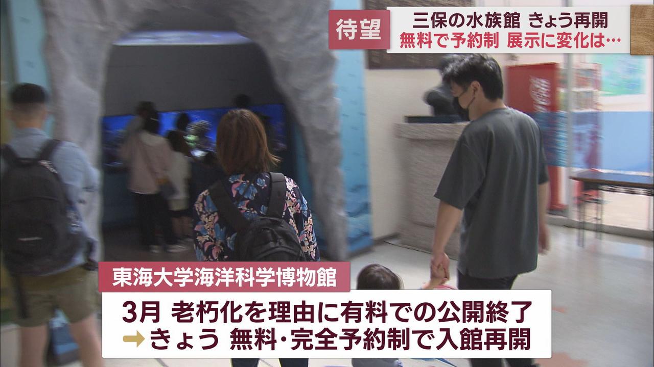 画像1: 高さ6m「巨大水槽」再び…有料公開終了の水族館が「無料」で再開 静岡・清水区