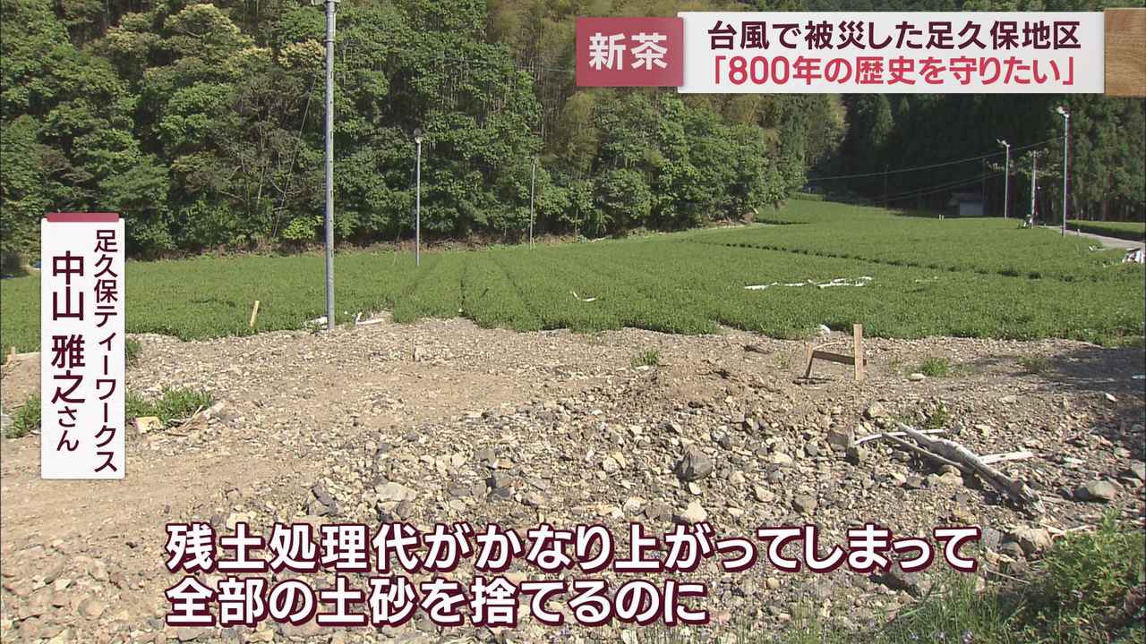 画像2: 茶畑襲った台風…半年以上たっても再開のめど立たず