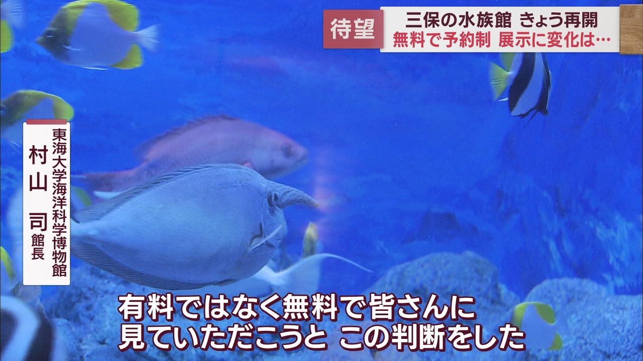 画像3: 高さ6m「巨大水槽」再び…有料公開終了の水族館が「無料」で再開 静岡・清水区