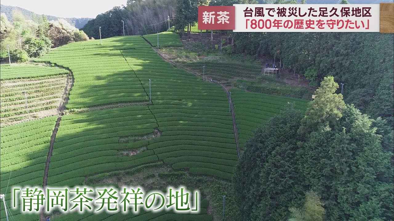 画像: 台風の爪痕残る「静岡茶発祥の地」…800年の歴史を次世代へ 静岡市 youtu.be