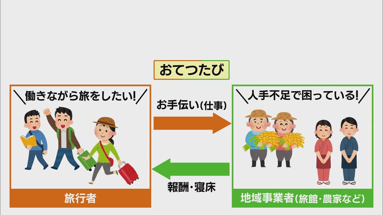 画像: 「おてつたび」=“おてつだい”+“旅” 参加した女子大生「働いてこそわかる地域の現状を知りたい」 浜松市