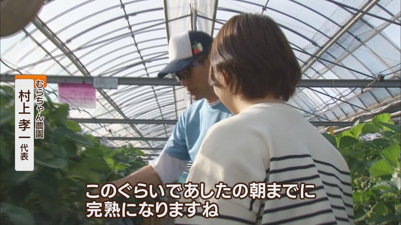 画像3: 「忙しい時期だけ人を集めるのは大変」