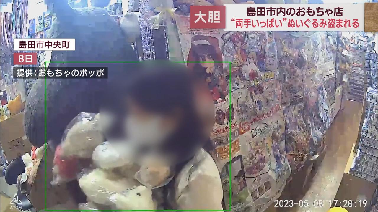 画像1: 営業中の店内から大量のぬいぐるみを盗んでいった女 大胆な犯行を検証 島田市